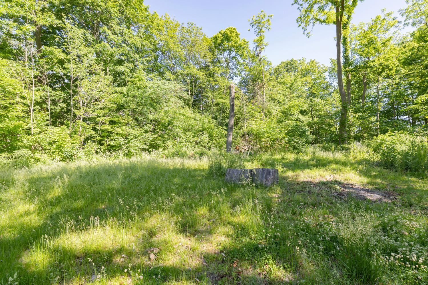 61305 Crooked Creek Road Cassopolis MI 49031
