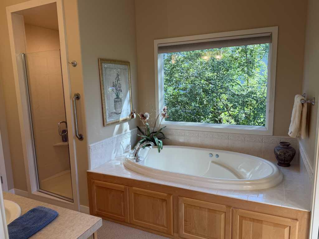 4786 Sunflower Ridge Drive NE Ada MI 49301