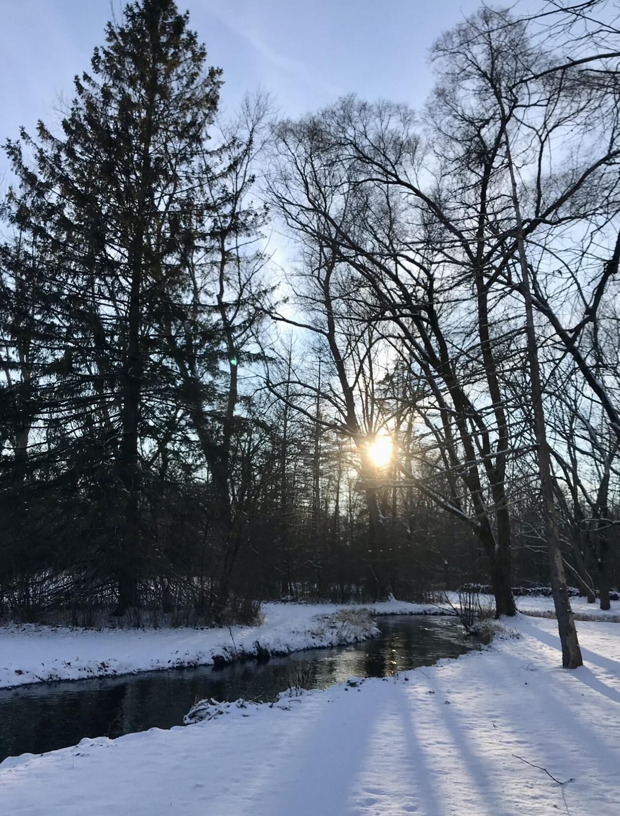 3086 Springbrook Drive Kalamazoo MI 49004