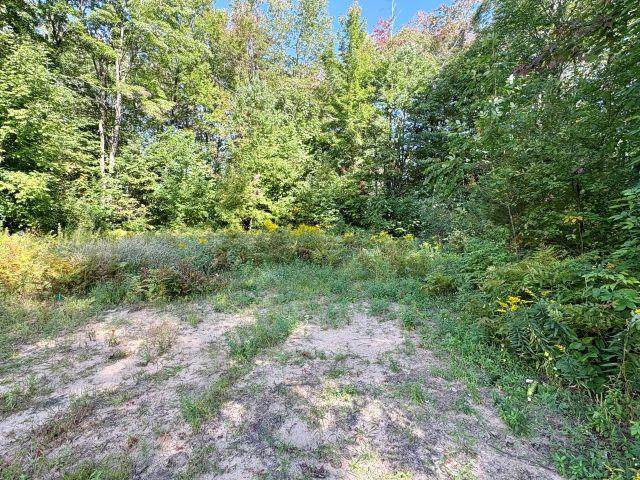 615 Beardsley Street Boyne City MI 49712