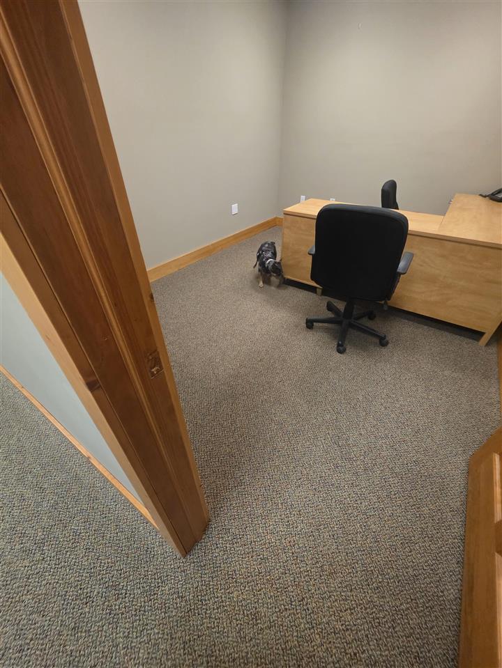 1160 E State Street Cheboygan MI 49721