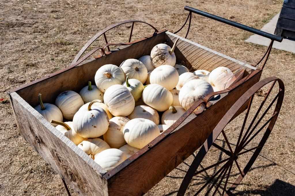 4333 S Us 31 Highway Alanson MI 49706