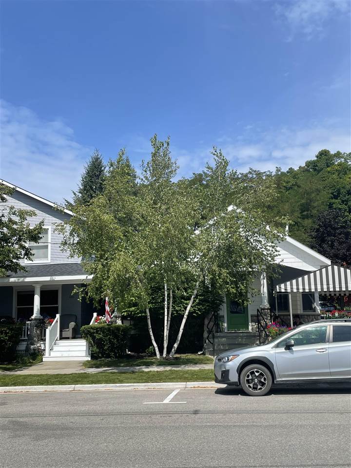 152 & 138 W Third Street Harbor Springs MI 49740