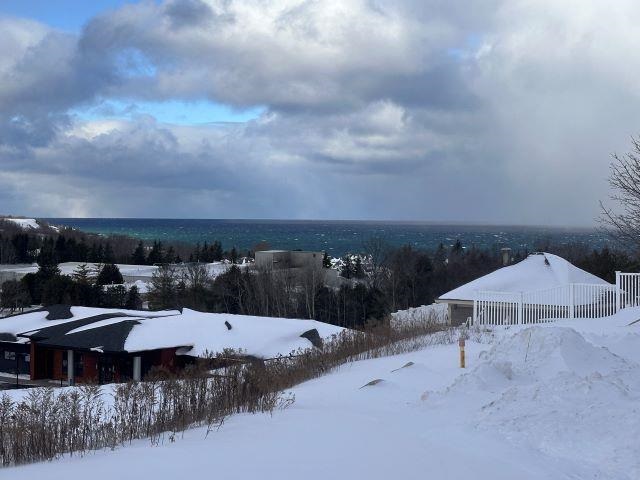 4048 Cedar Bluff Drive Petoskey MI 49770