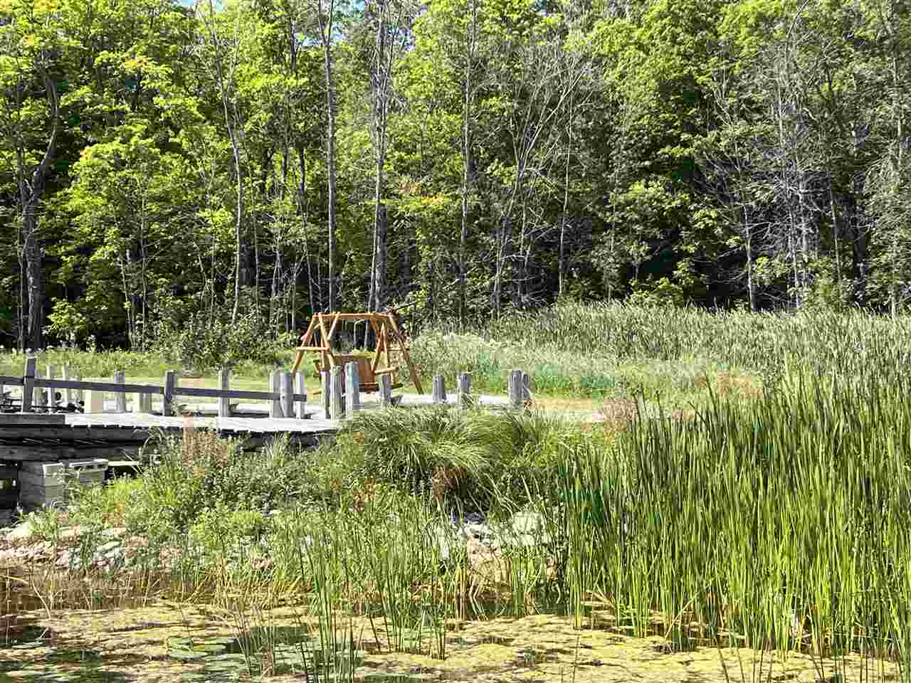 32544 S Bobby Drive Drummond Island MI 49726