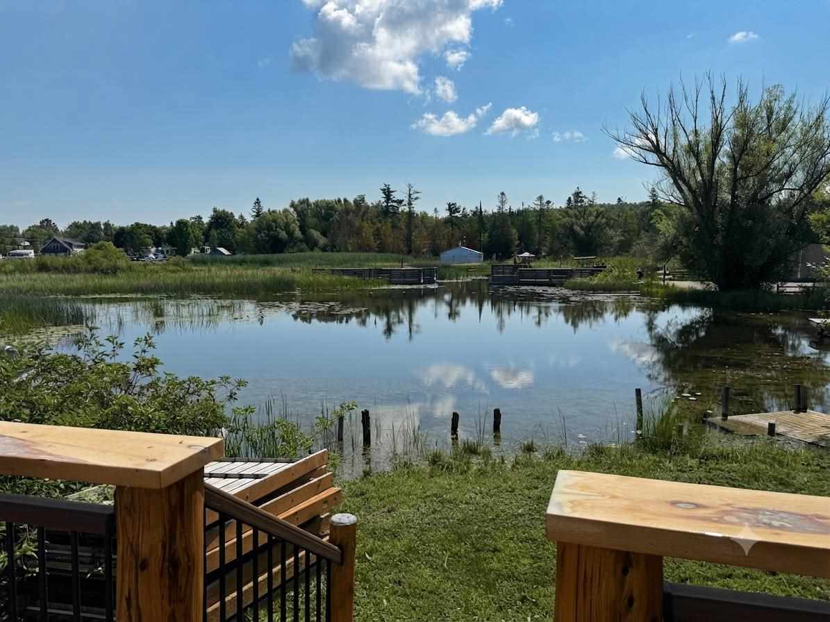 6229 East Street Alanson MI 49706
