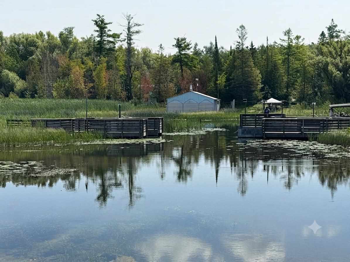 6229 East Street Alanson MI 49706