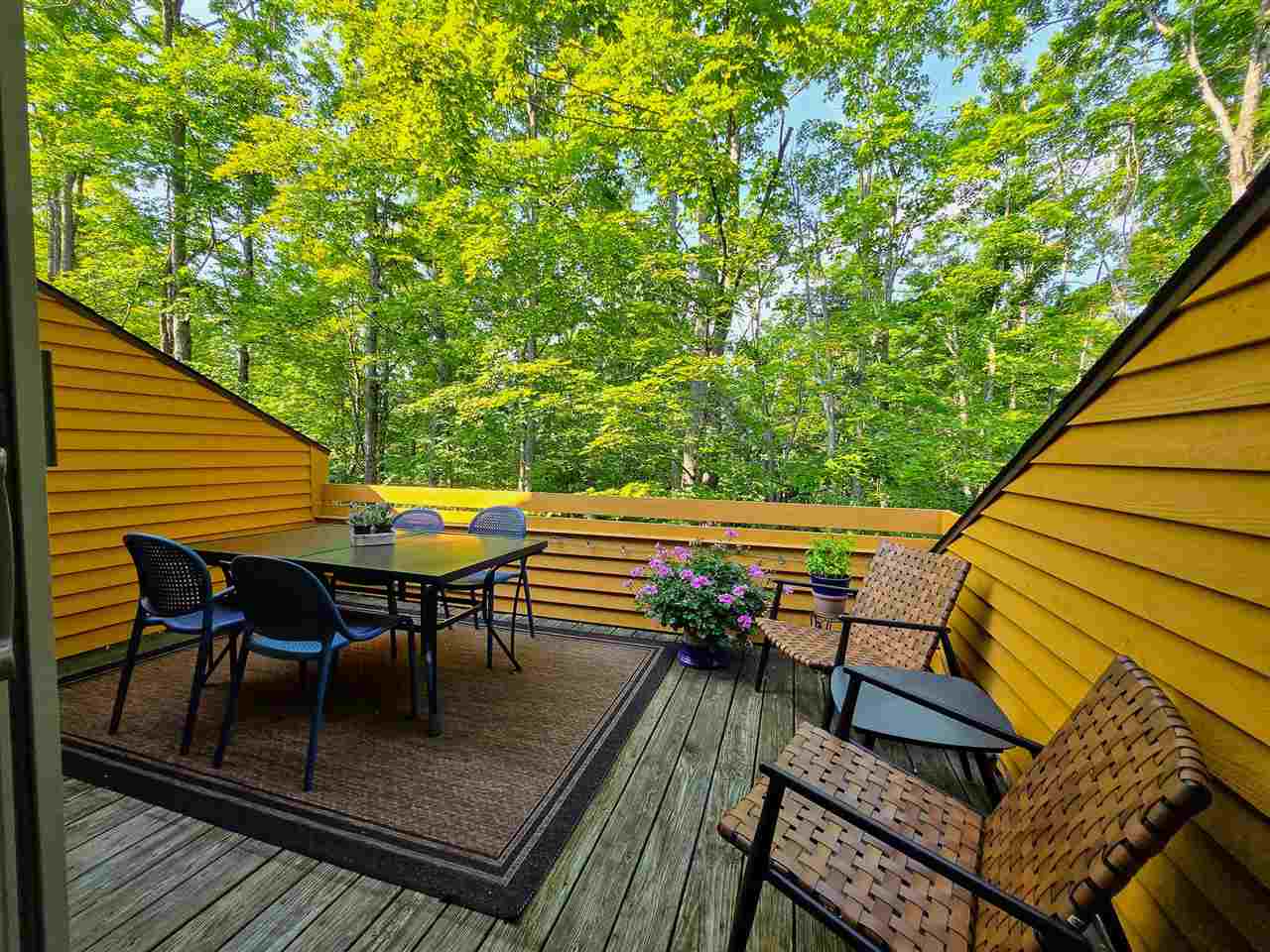 4749 S Pleasantview Road Harbor Springs MI 49740