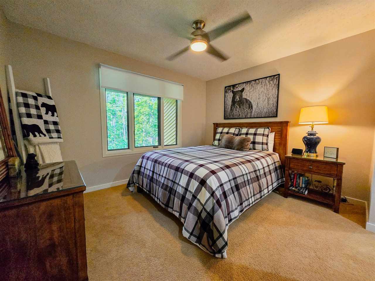 4749 S Pleasantview Road Harbor Springs MI 49740