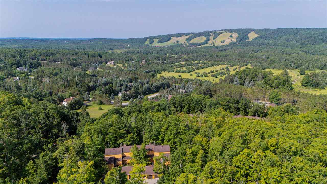 4749 S Pleasantview Road Harbor Springs MI 49740
