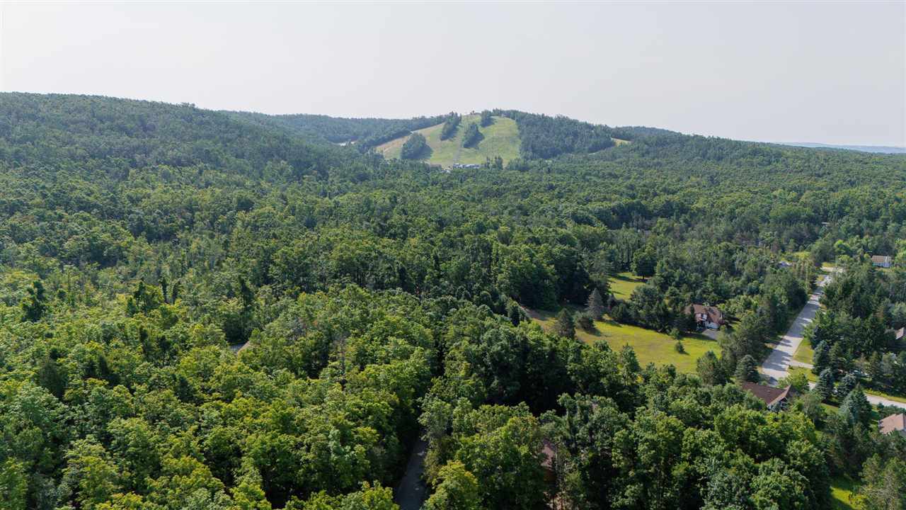 4749 S Pleasantview Road Harbor Springs MI 49740