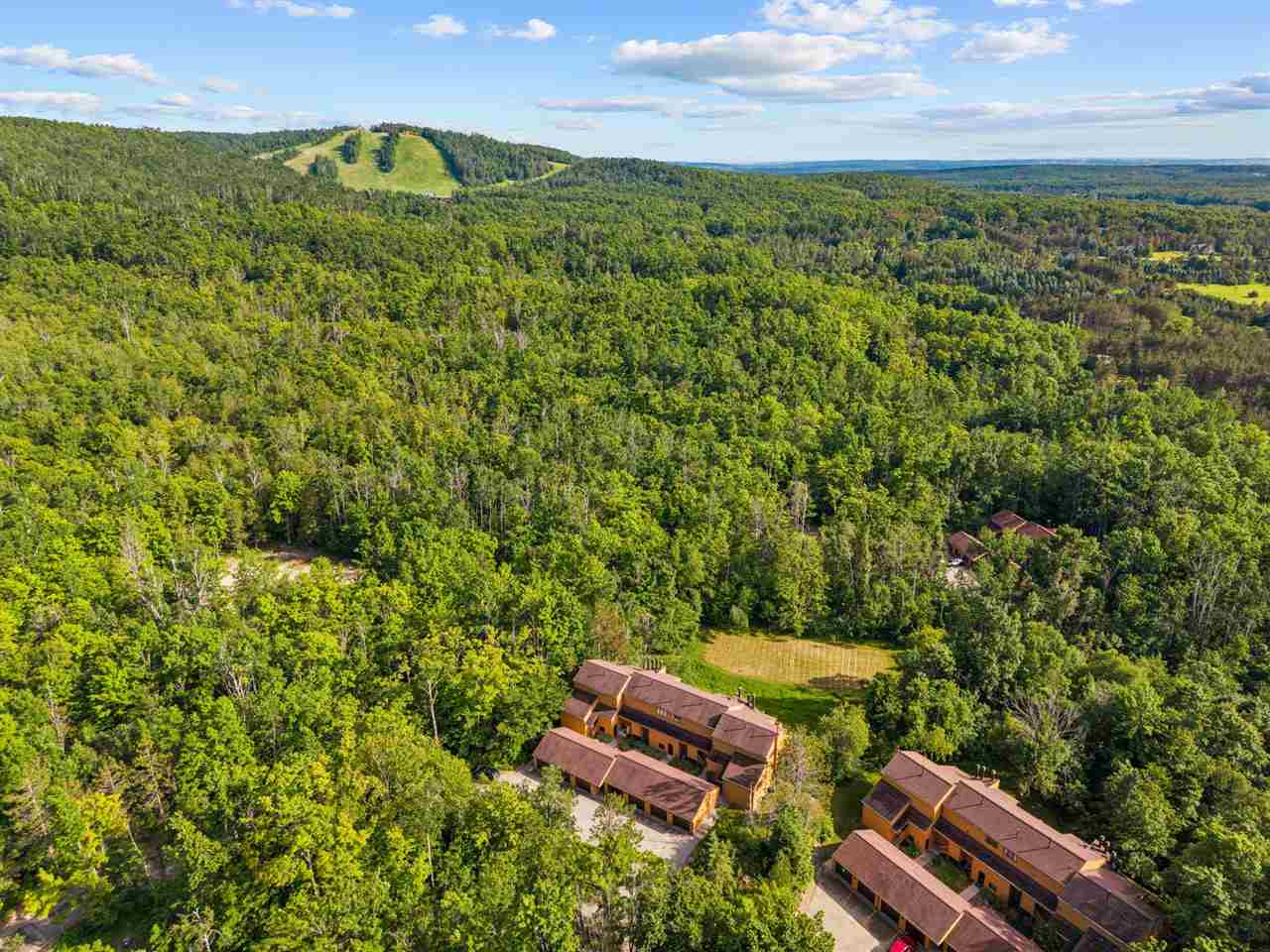 4749 S Pleasantview Road Harbor Springs MI 49740