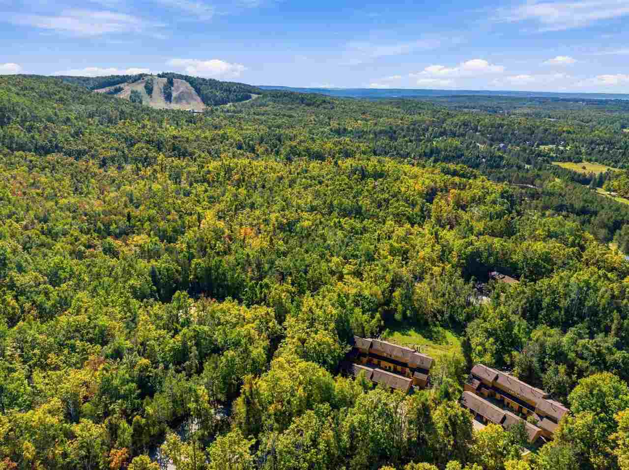 4749 S Pleasantview Road Harbor Springs MI 49740