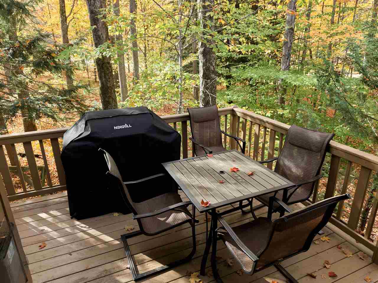 2603 Disciples Court Boyne Falls MI 49713