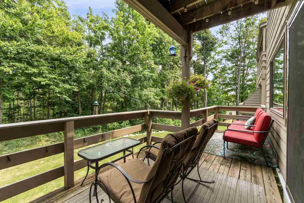 1185 Hideaway Valley Unit 39 Harbor Springs MI 49740