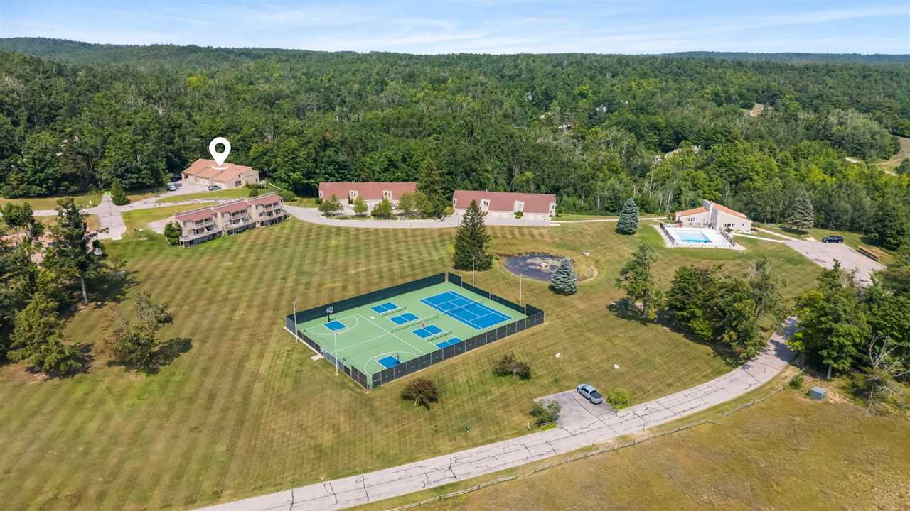 1185 Hideaway Valley Unit 39 Harbor Springs MI 49740