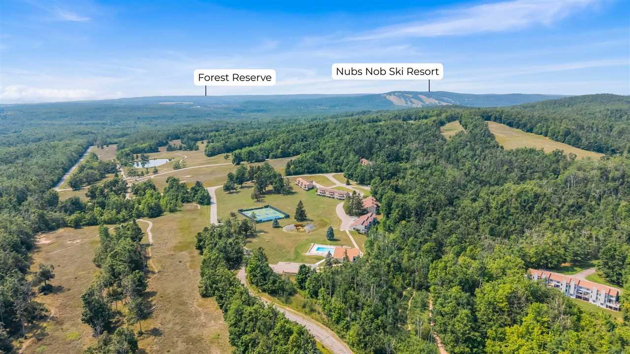 1185 Hideaway Valley Unit 39 Harbor Springs MI 49740
