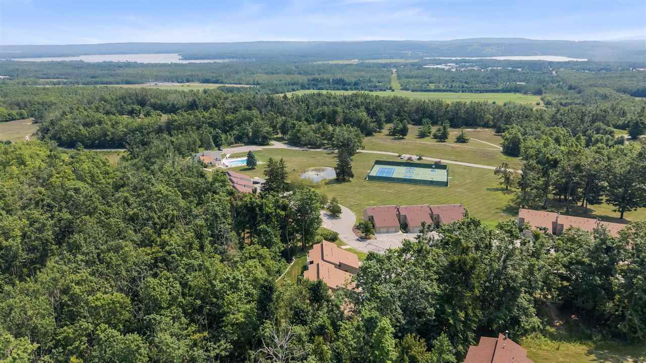 1185 Hideaway Valley Unit 39 Harbor Springs MI 49740