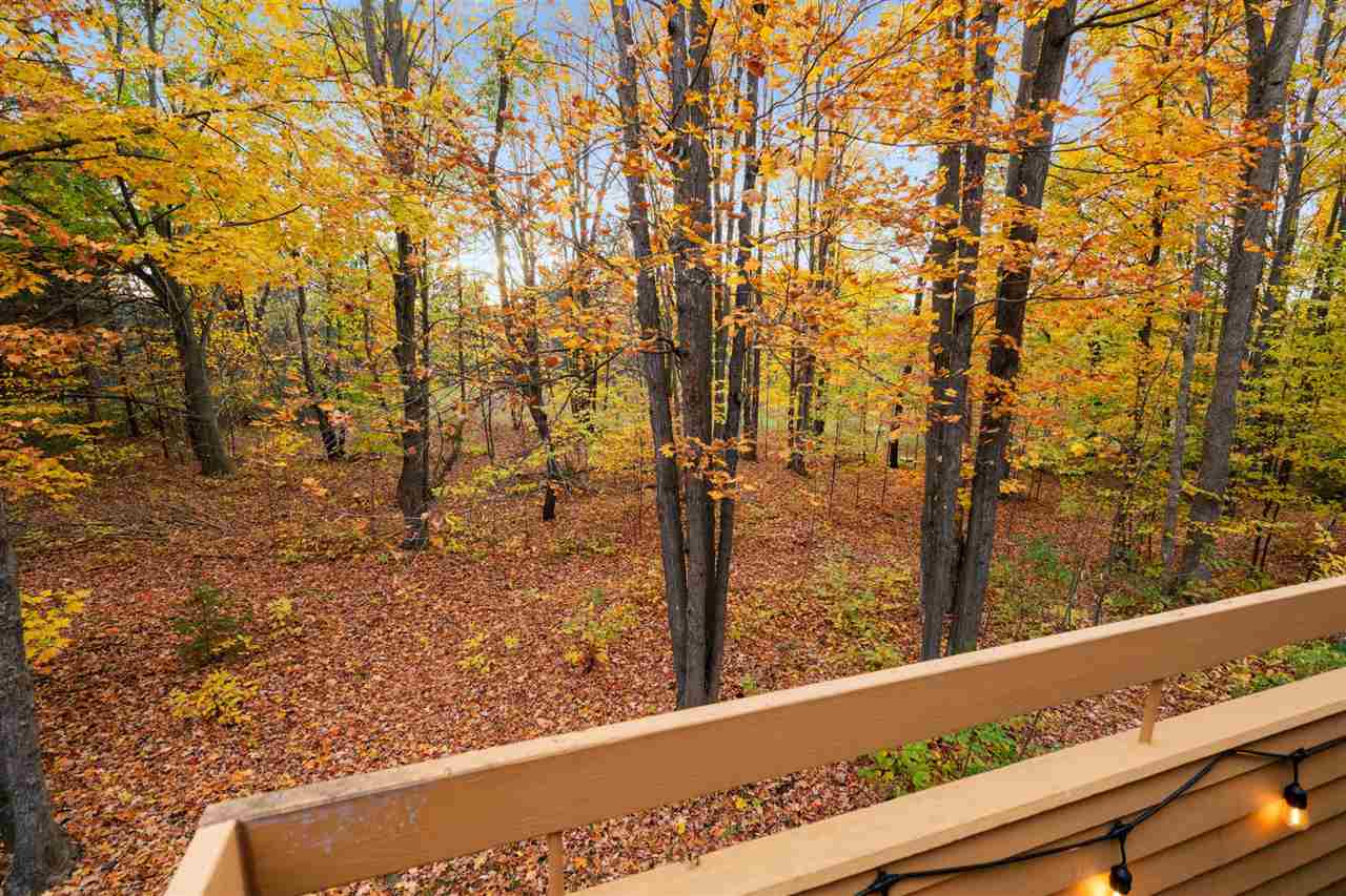 4749 S Pleasantview Road Harbor Springs MI 49740