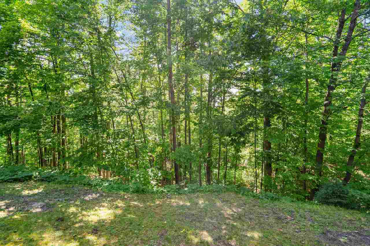 4749 S Pleasantview Road Harbor Springs MI 49740