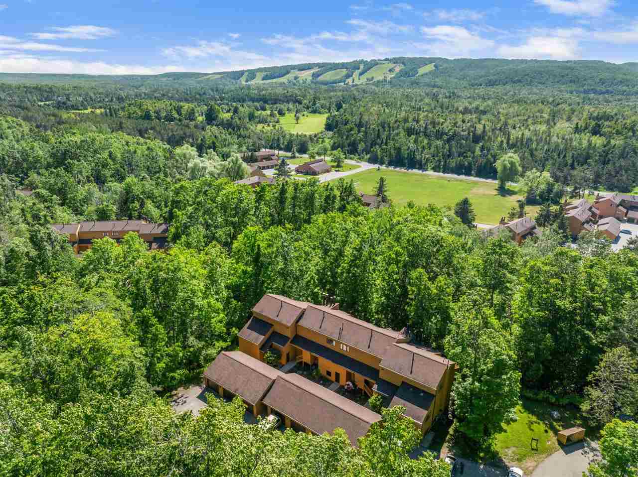 4749 S Pleasantview Road Harbor Springs MI 49740