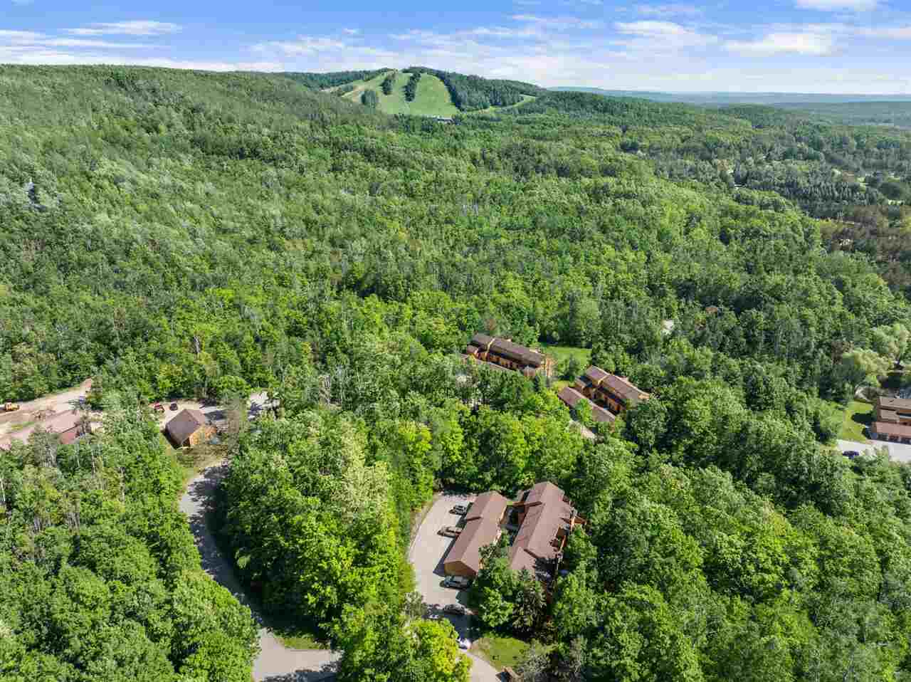 4749 S Pleasantview Road Harbor Springs MI 49740