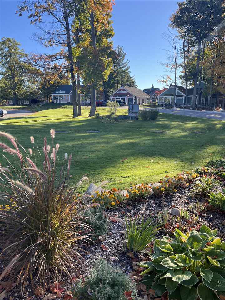 5712 Shanty Creek Road Bellaire MI 49615