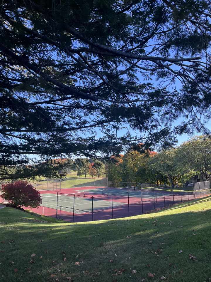 5712 Shanty Creek Road Bellaire MI 49615