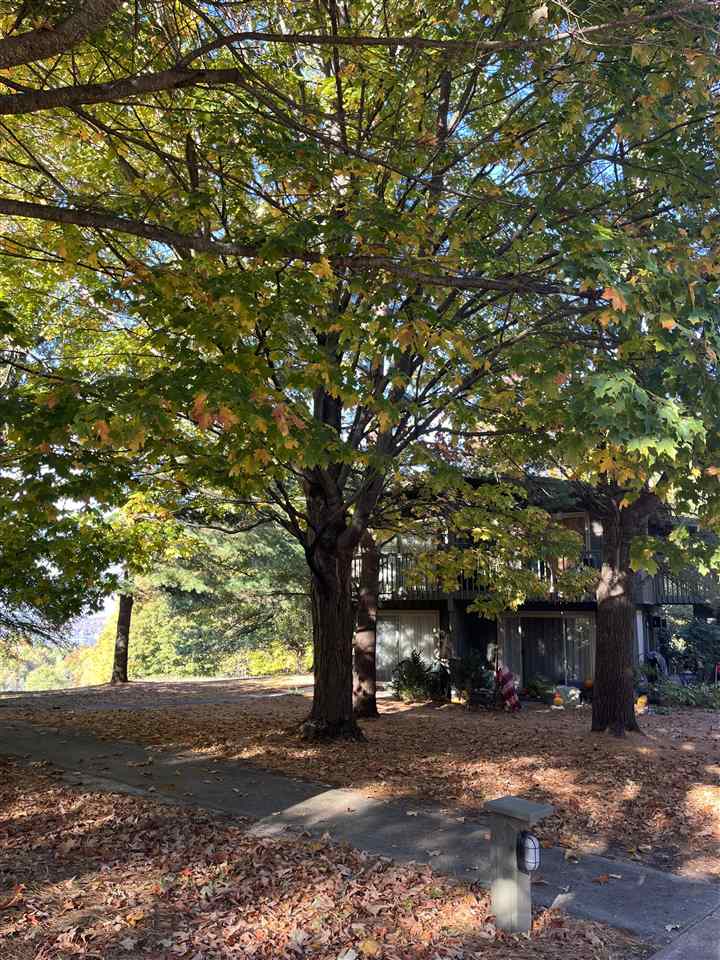 5712 Shanty Creek Road Bellaire MI 49615