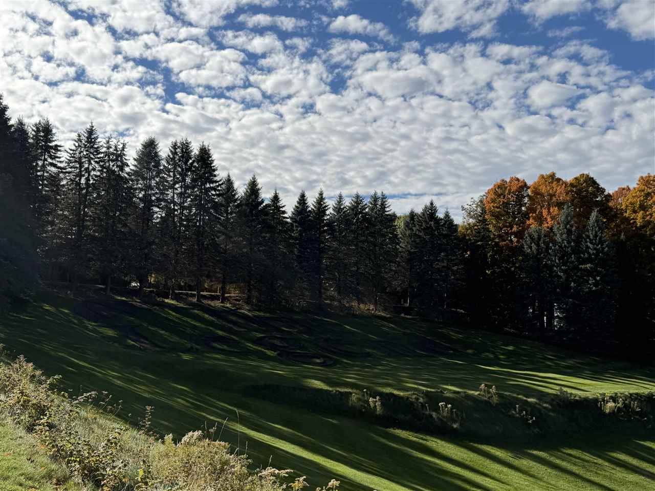 5712 Shanty Creek Road Bellaire MI 49615