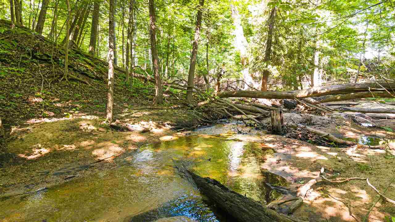 13401 Creekside Lane Charlevoix MI 49720