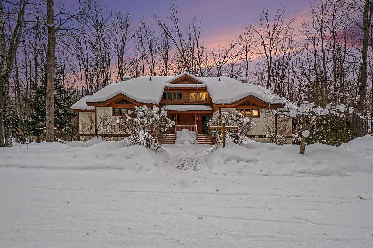 02538 Village Drive Boyne Falls MI 49713