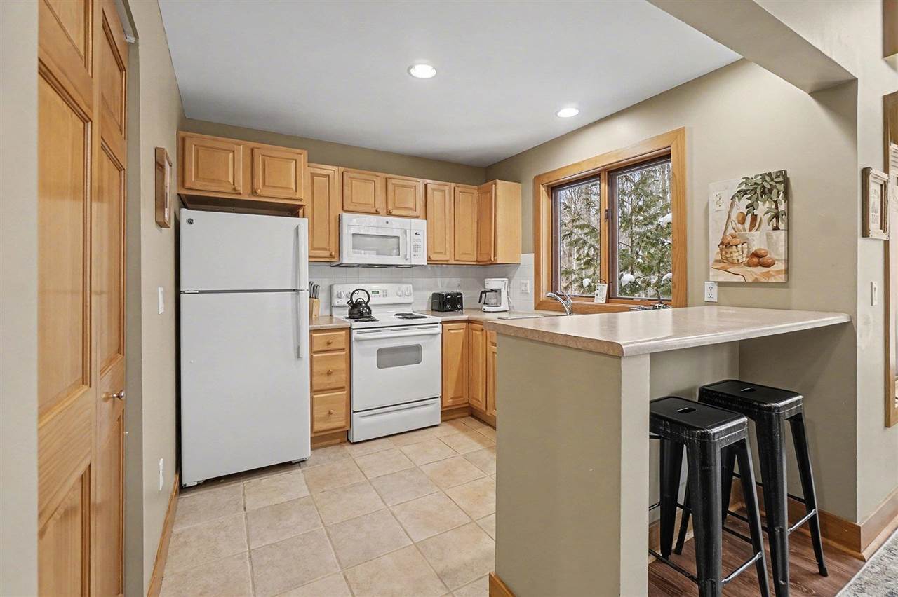 02538 Village Drive Boyne Falls MI 49713