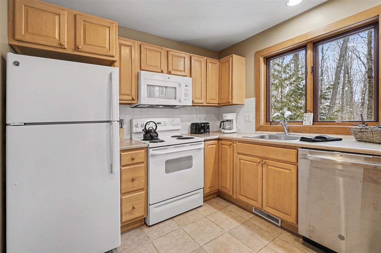 02538 Village Drive Boyne Falls MI 49713