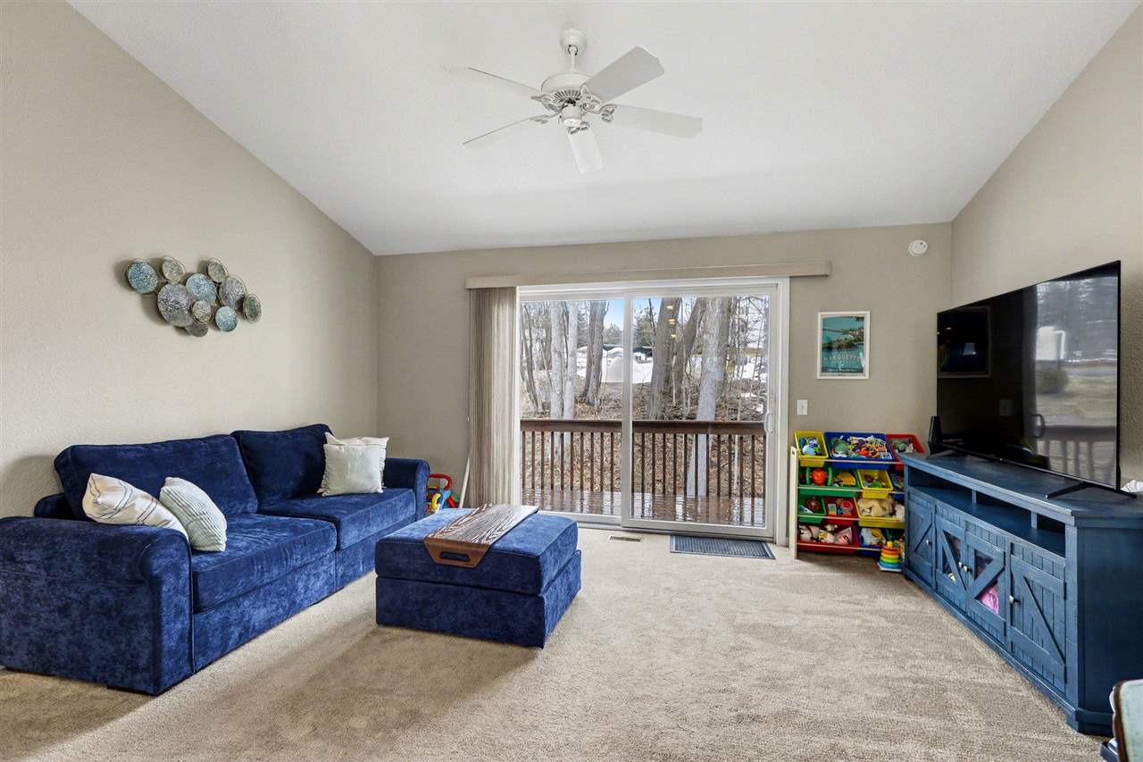 1036 Woods Court Petoskey MI 49770