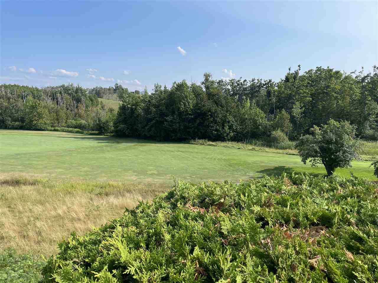 824 Crooked Tree Petoskey MI 49770