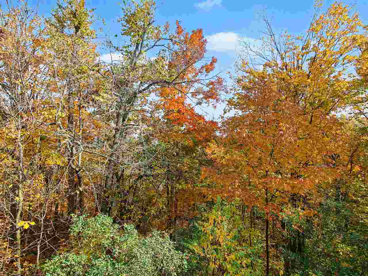 2035 Woods Lane Petoskey MI 49770