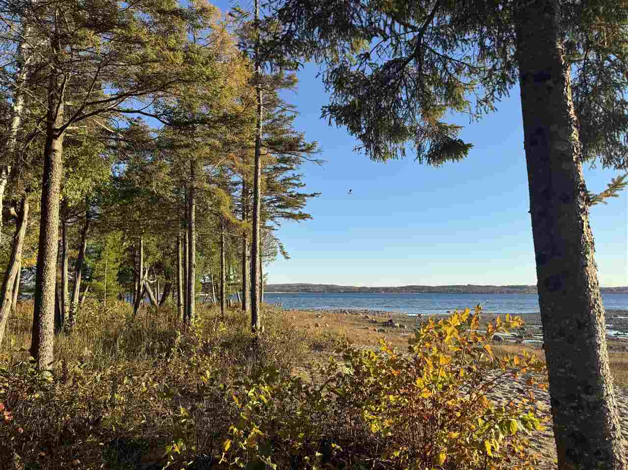 885 Beach Road Harbor Springs MI 49740