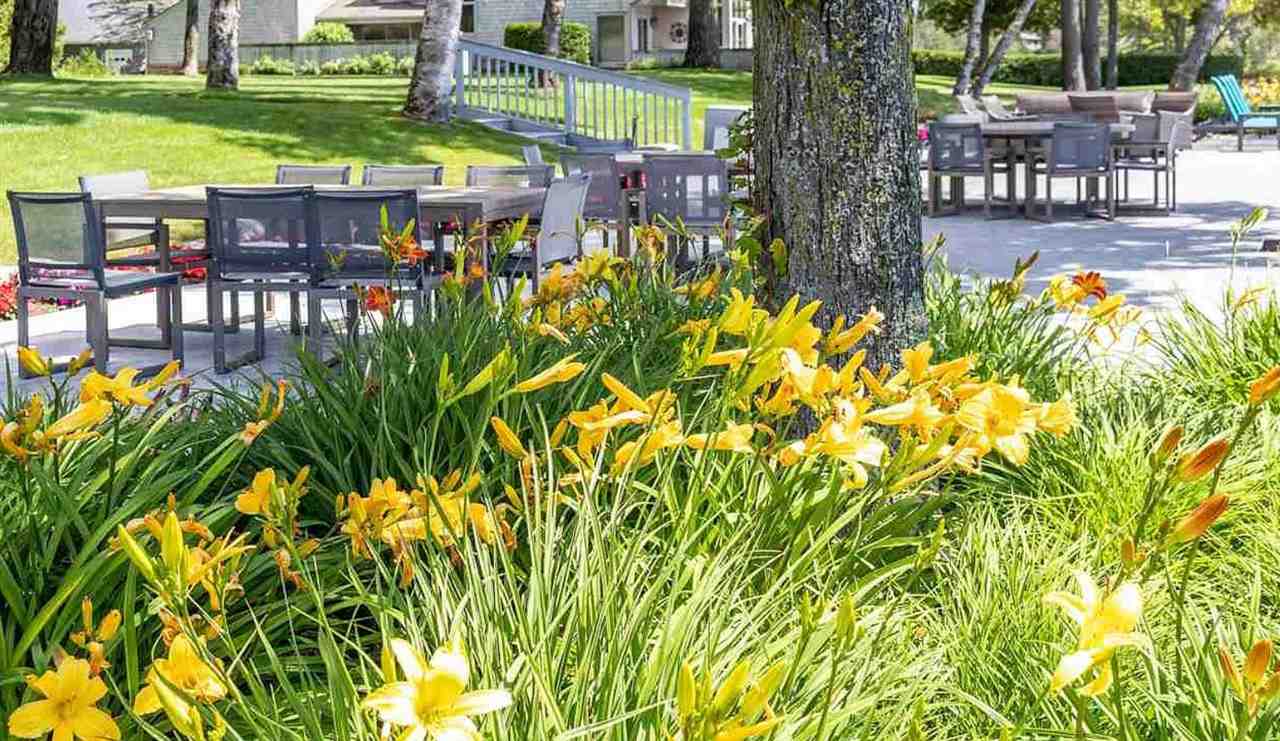 1057 Beach Road Harbor Springs MI 49740