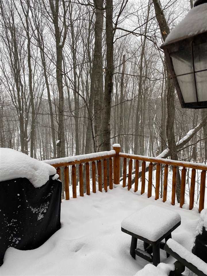 01145 Cabin Drive Boyne City MI 49712