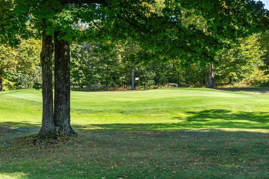 818 Fairways Harbor Springs MI 49740