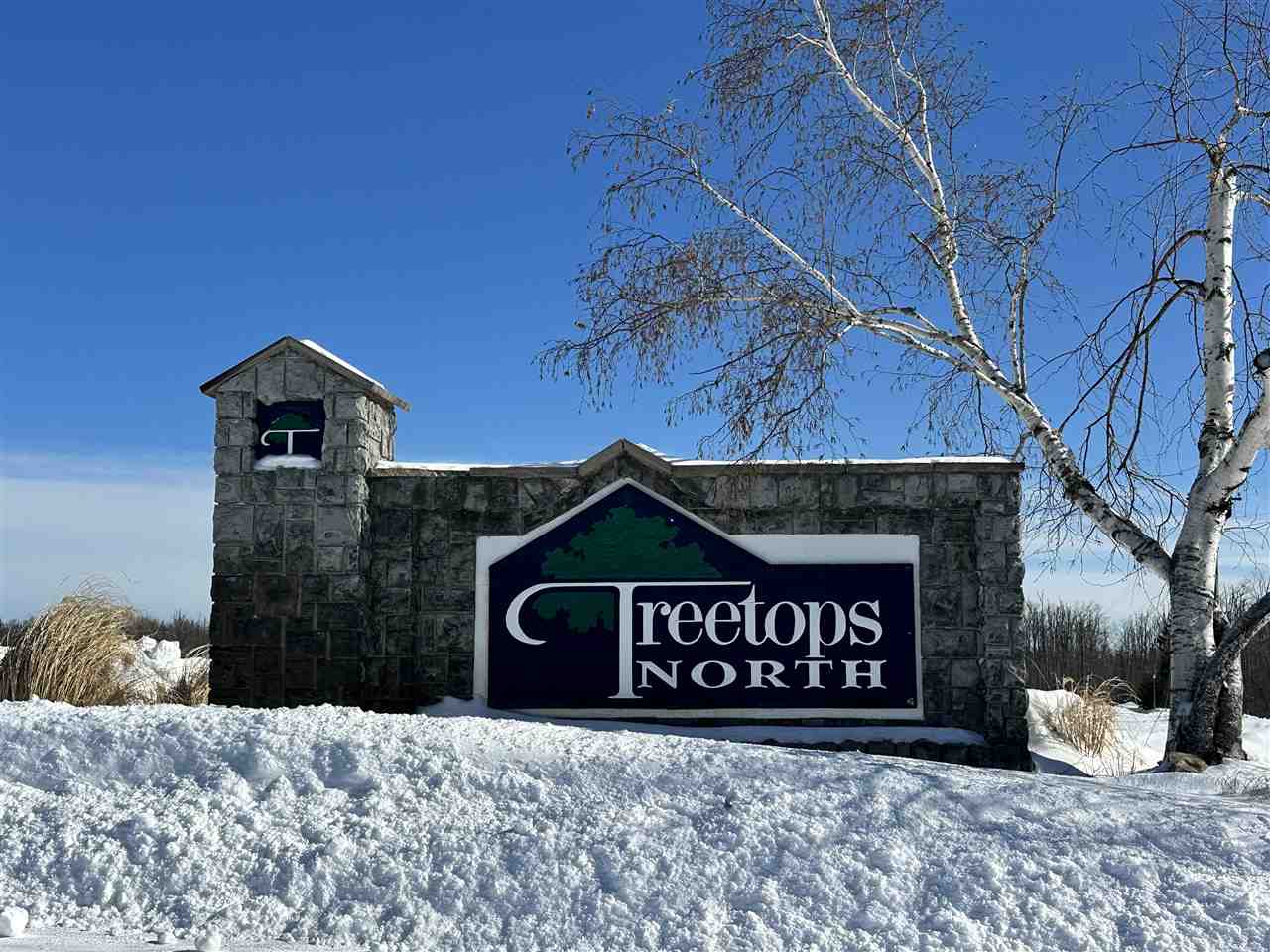 4248 Fazio Drive Gaylord MI 49735