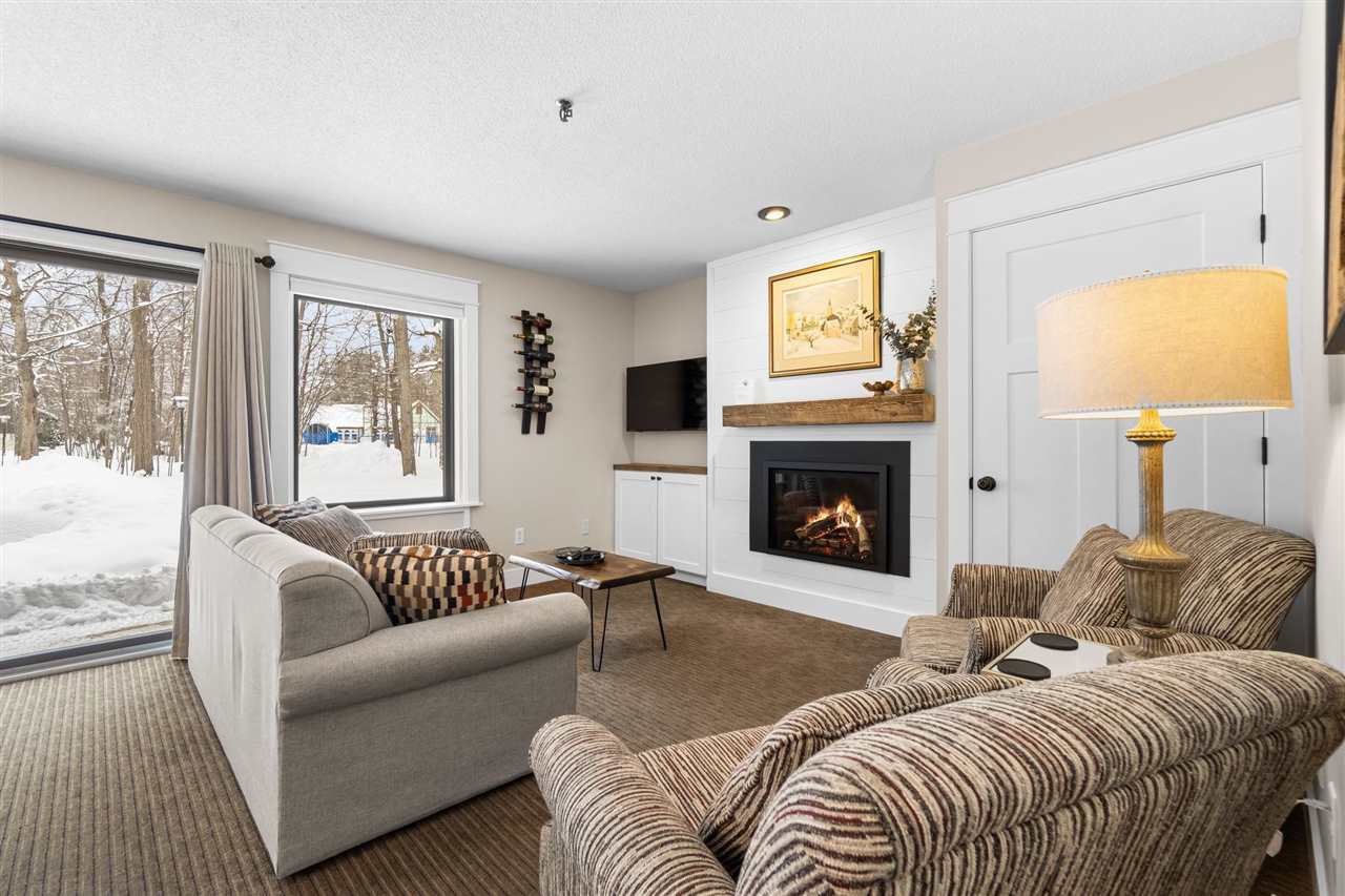 02655 Condo Loop Drive Boyne Falls MI 49713