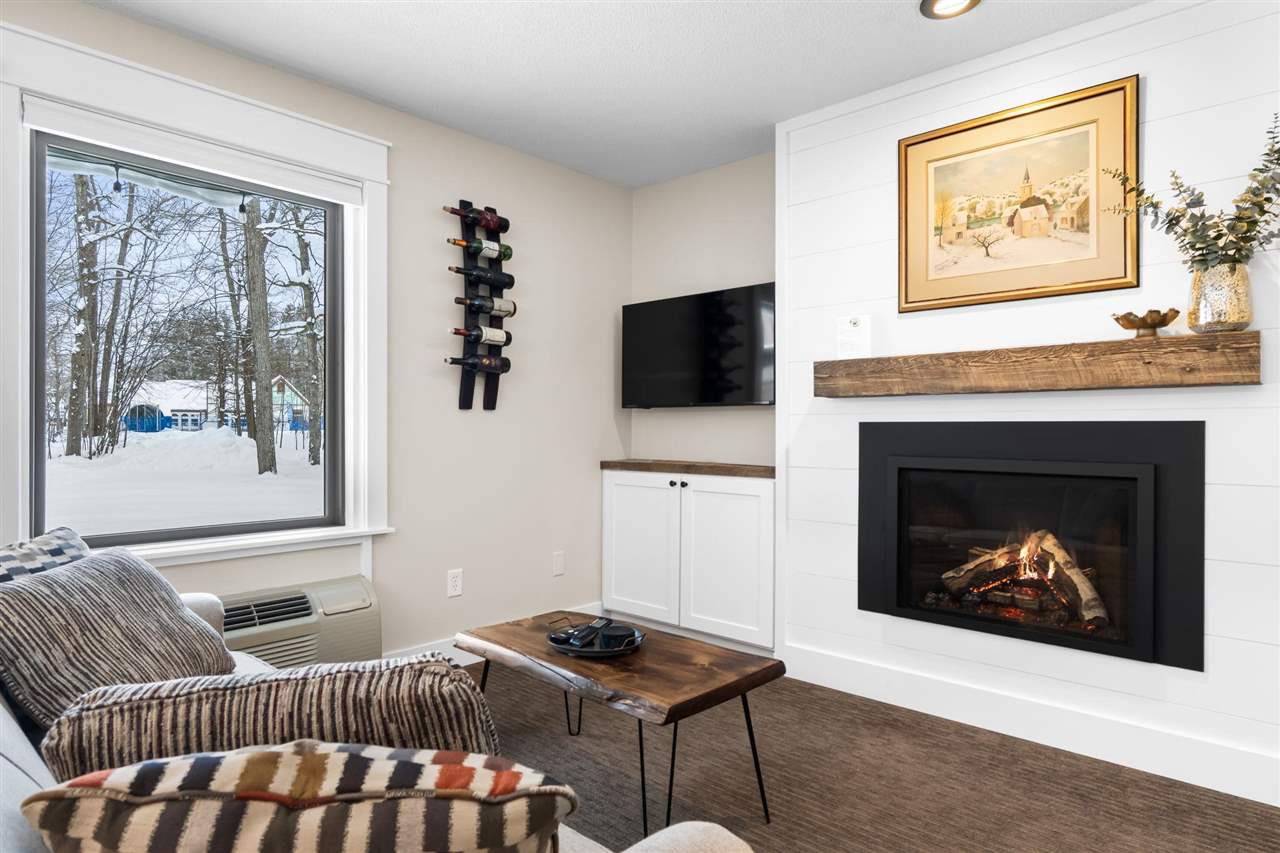 02655 Condo Loop Drive Boyne Falls MI 49713