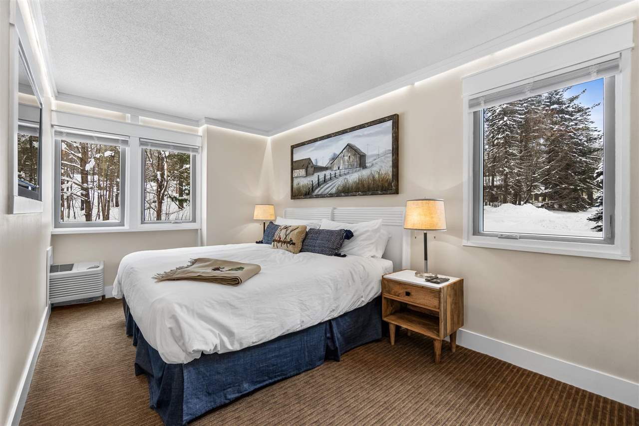 02655 Condo Loop Drive Boyne Falls MI 49713