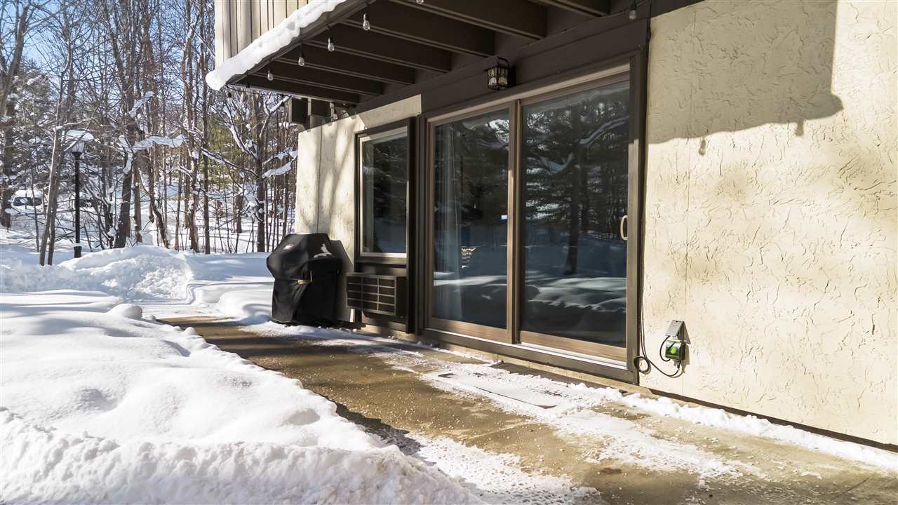 02655 Condo Loop Drive Boyne Falls MI 49713