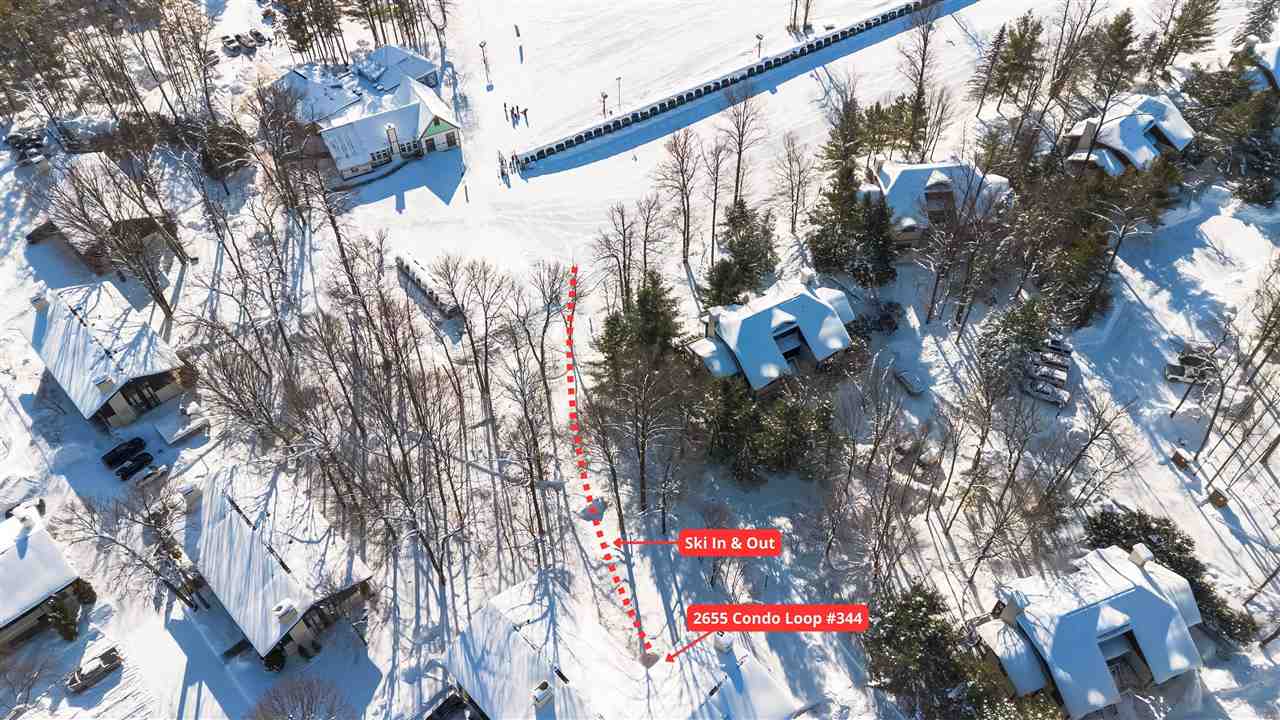 02655 Condo Loop Drive Boyne Falls MI 49713