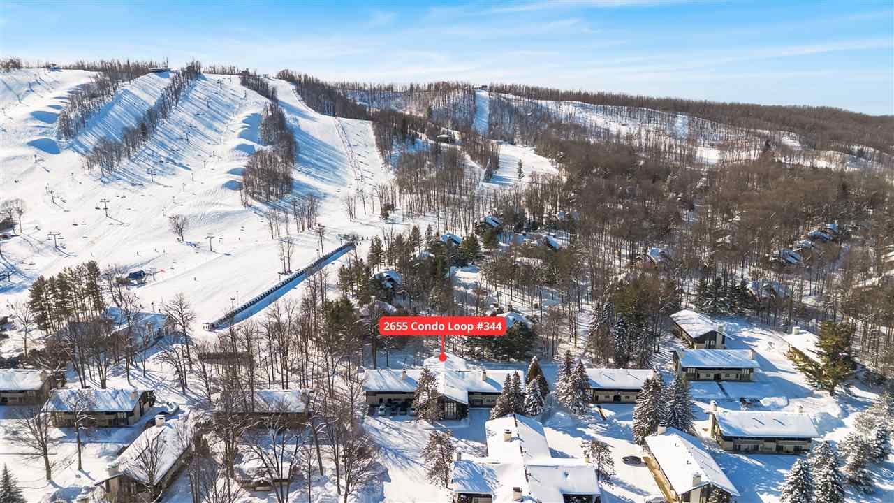 02655 Condo Loop Drive Boyne Falls MI 49713