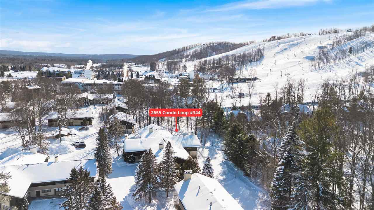 02655 Condo Loop Drive Boyne Falls MI 49713