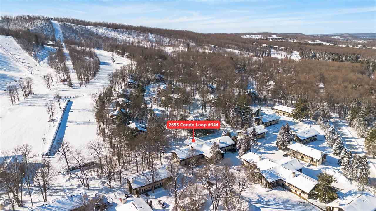 02655 Condo Loop Drive Boyne Falls MI 49713